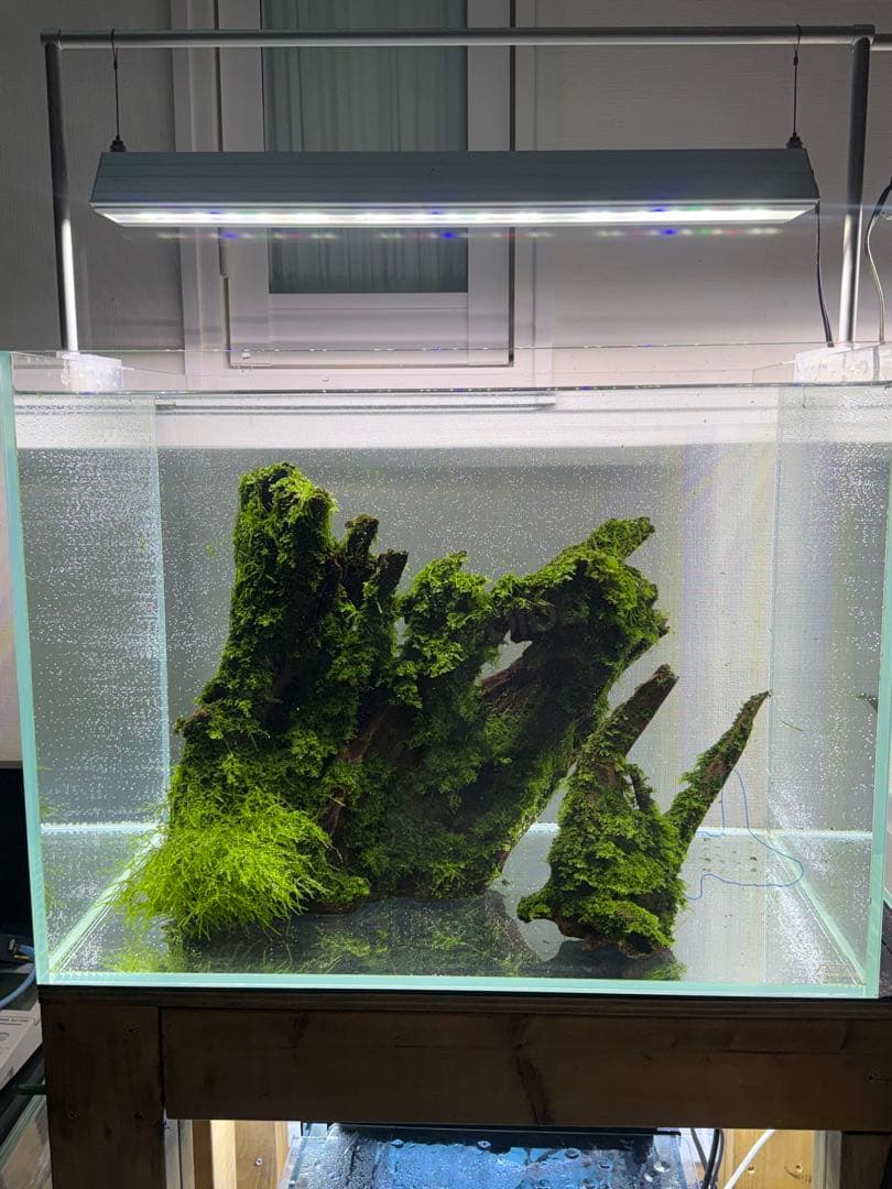 水槽セット　引取限定or配達　発送不可