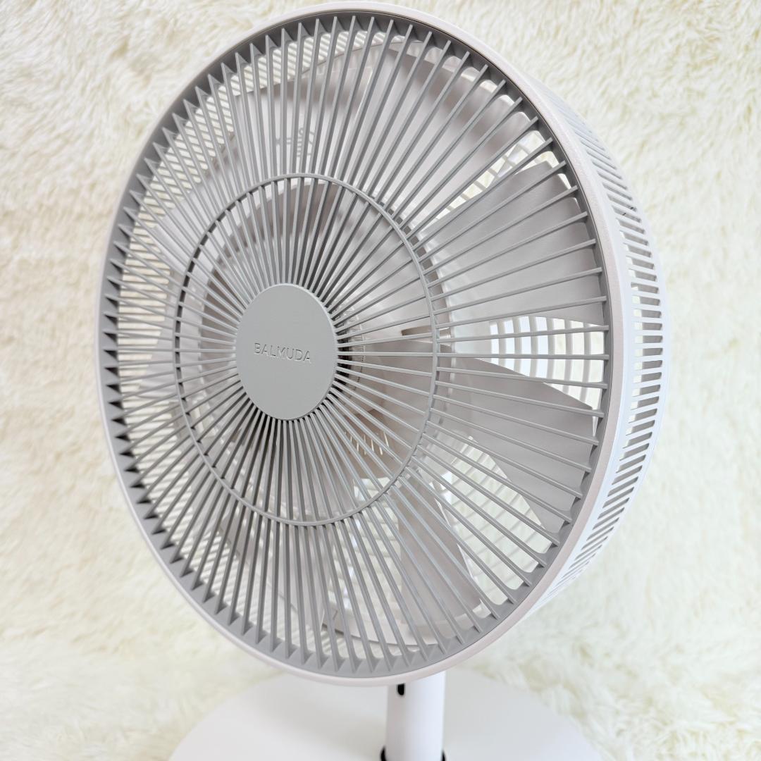 BALMUDA ザ・グリーンファン