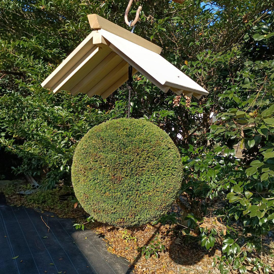 杉玉　直径約37ｃｍ　屋根付き