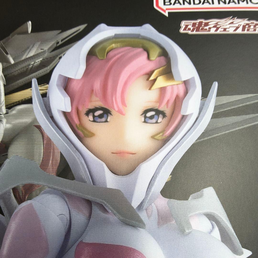 S.H.Figuarts ラクス・クライン（パイロットスーツVer.）ライドオン