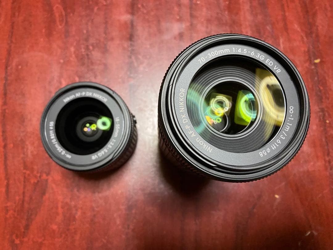 ショット数840枚ニコン Nikon D5600 AF-Pダブルズームキット