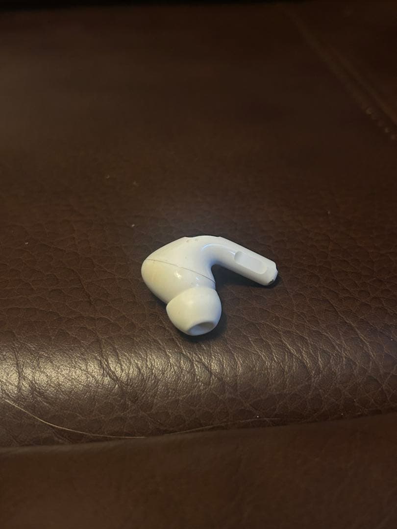 AirPods Pro 第2世代 Lightning R欠品ボッテガケース付き