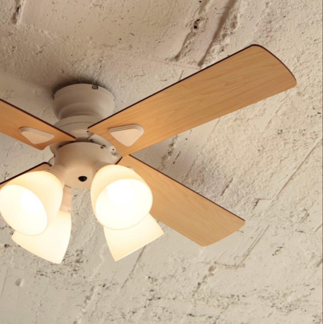 Windouble 天井ファンライト 4灯