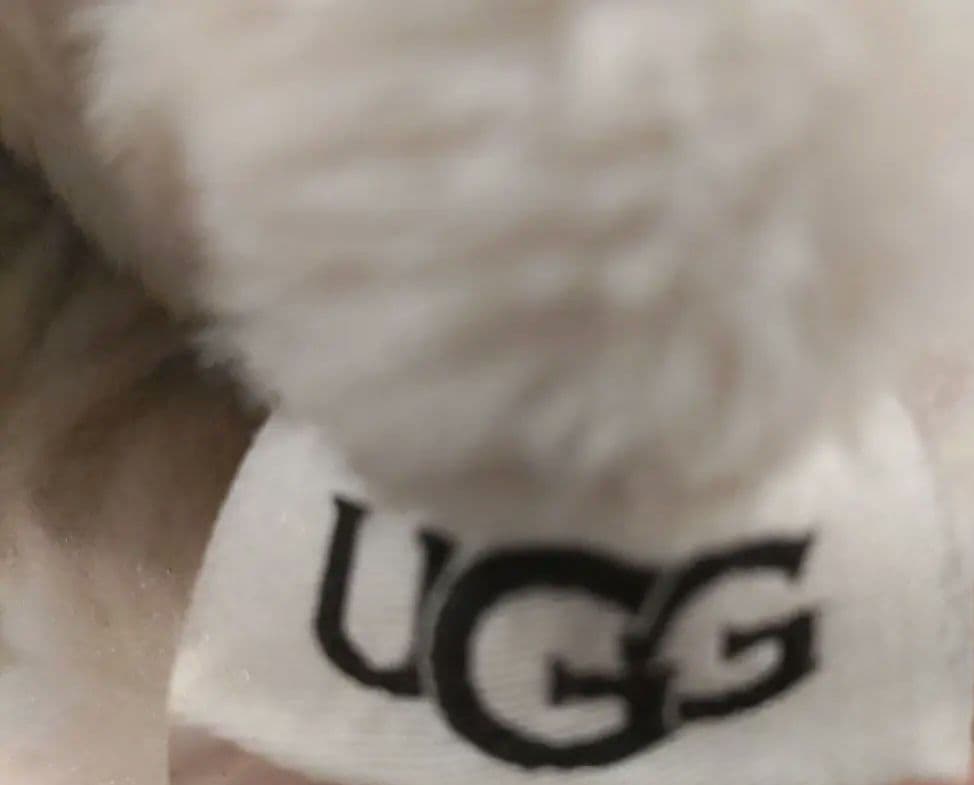 送料込み♡UGG 手袋