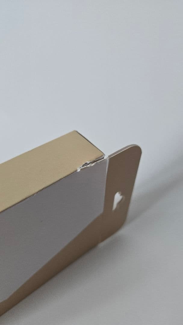 FiiO M21 デジタルオーディオプレーヤー ＆ SK-M21C