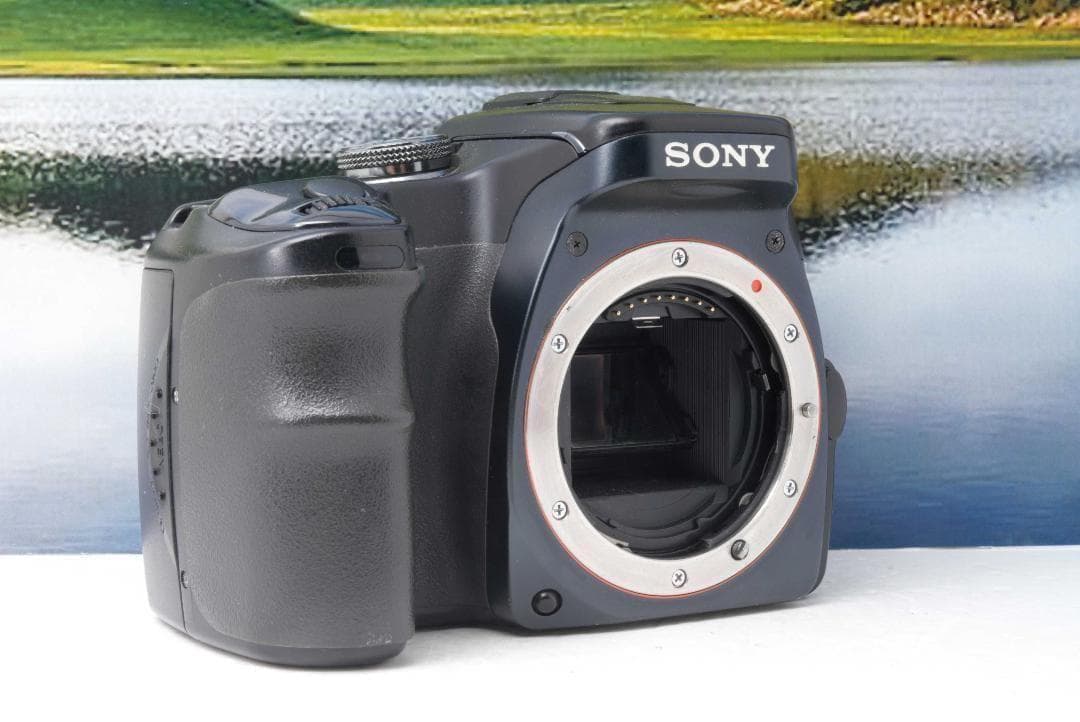 SONY α100 軽量ボディ＆使いやすさ抜群 おすすめの1台