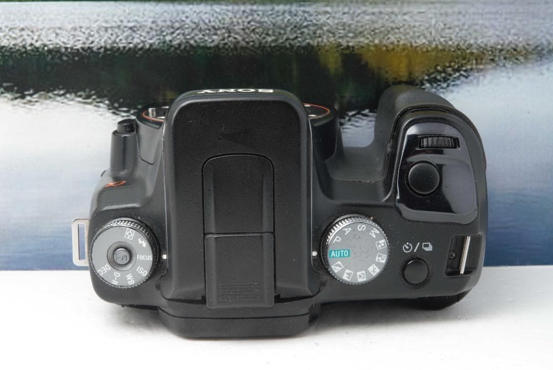 SONY α100 軽量ボディ＆使いやすさ抜群 おすすめの1台