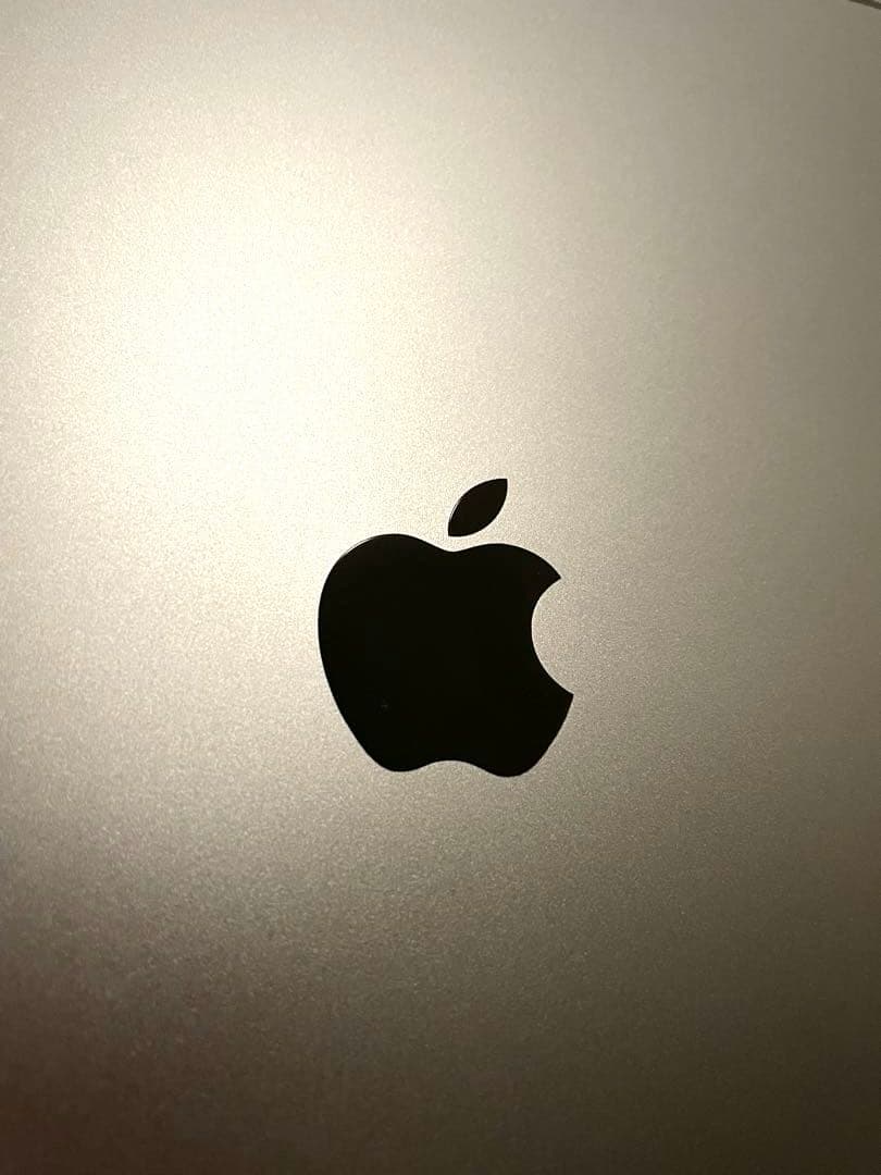 Apple iPad Pro 11インチ 第3世代　グレー 256GB カバー付