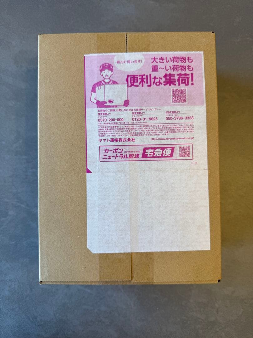 ポケモンカードゲーム MEGA ドリームEX ボックス　10パック入り