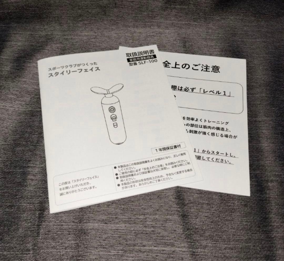 スタイリーフェイス EMS美顔器 フェイスライン/ディノス