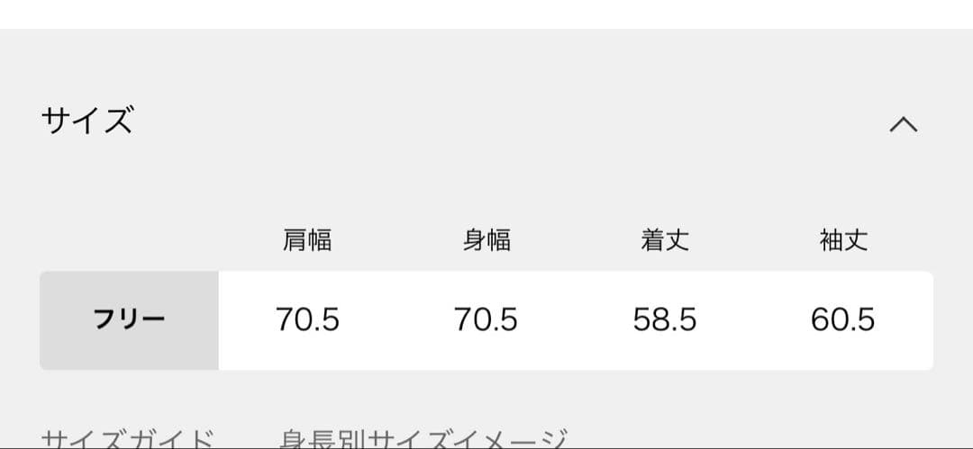 【マロチャンさま専用】別注 HOLIDAY HOODIE