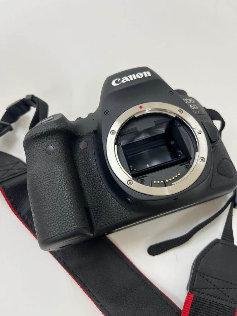 Canon EOS 6D Mark II 本体　ズームレンズセット