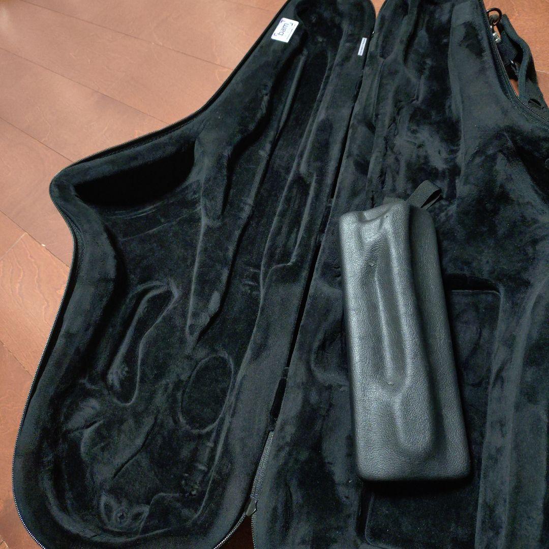 SOFTPACK テナーサックスケース by bam水色