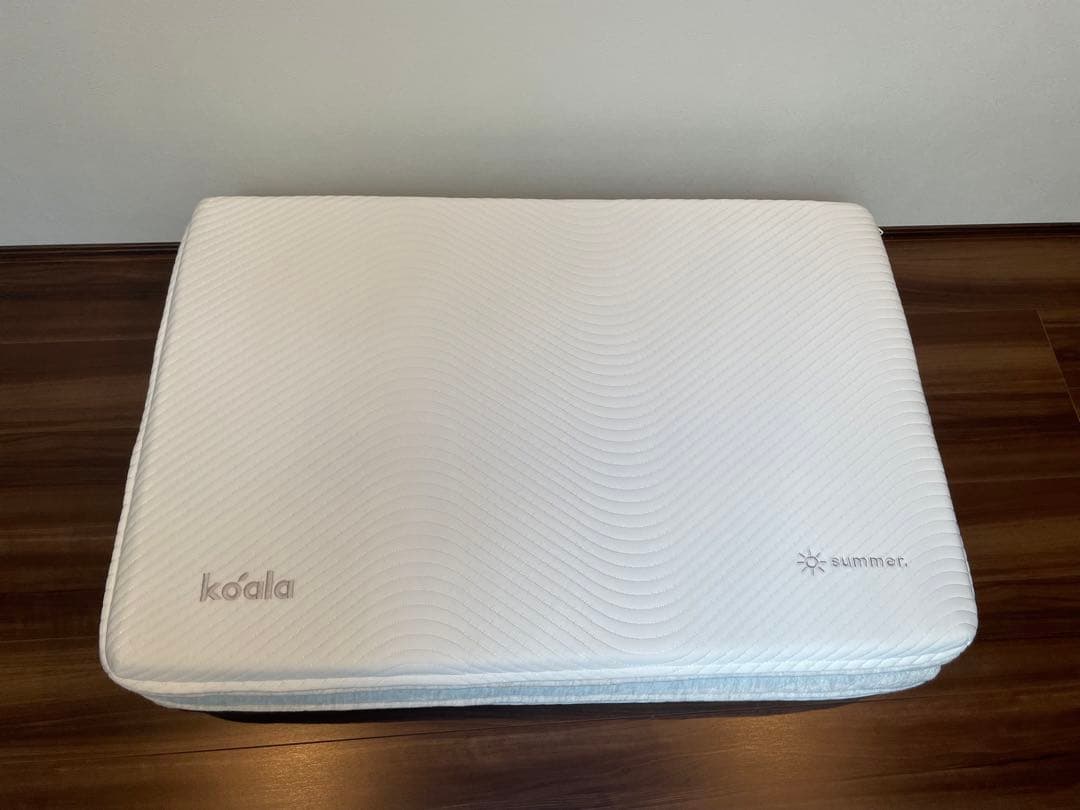 たいが　コアラフトン OASIS シングル②