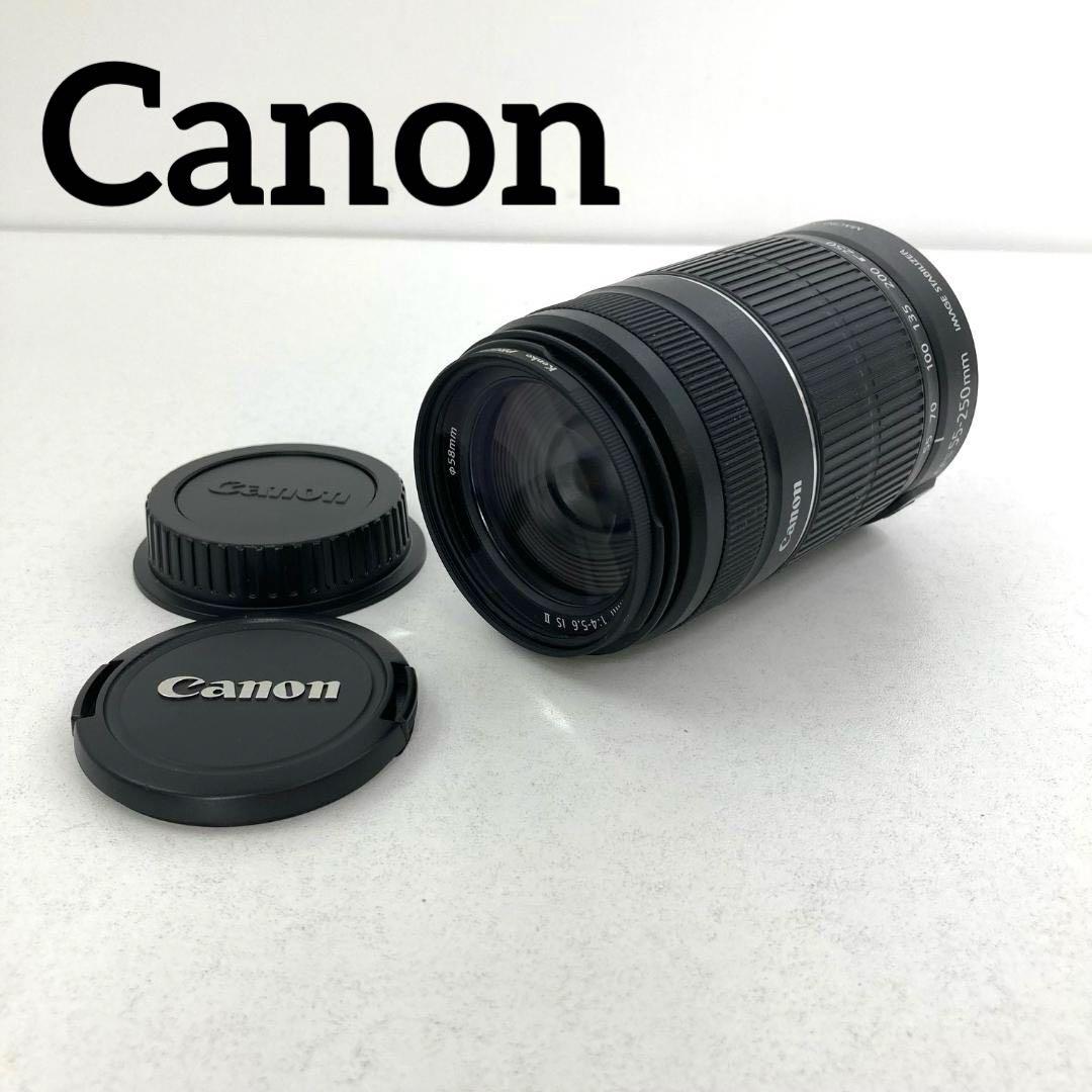 美品　Canon　ズームレンズ　EF-S55-250mm F4-5.6 IS