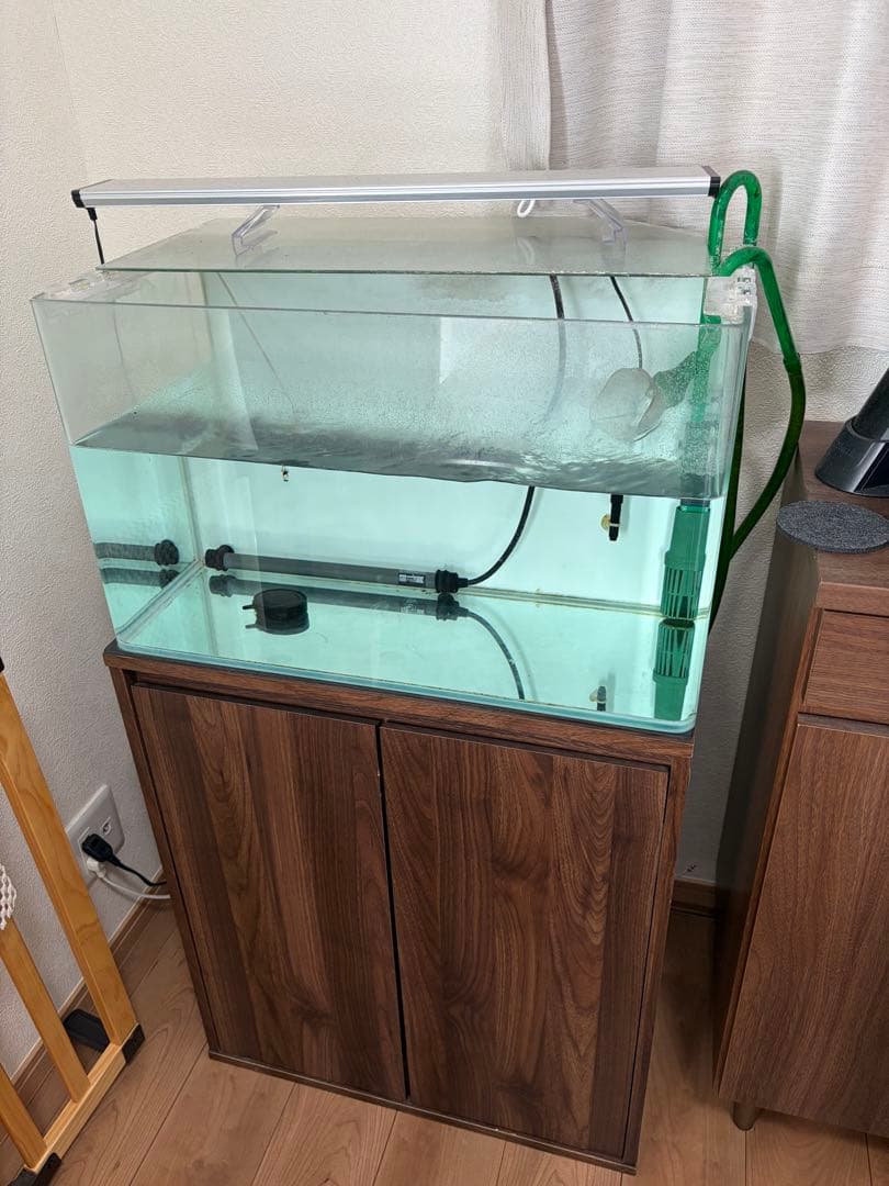 2月中のみ　最終価格　60センチ曲げガラス水槽　フルセット