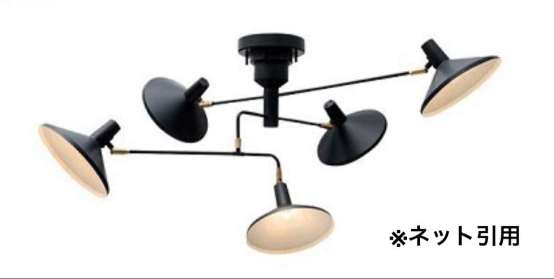 roanokeロアノーク　5灯ブラックシーリングライト　スポットライト