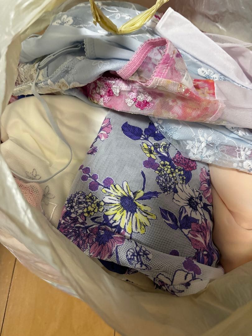 【超大特価！】Wacoal×ルジェのキャミソール10点セット(定価10万円前後)