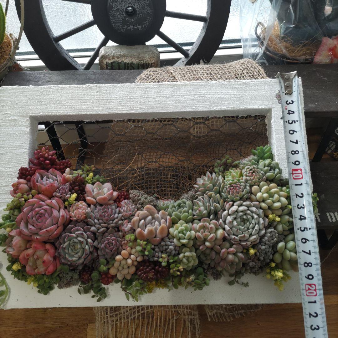 ジュリアンオーダーページ