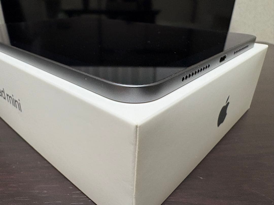 Apple iPad mini 6 256GB スペースグレー Wi-Fi