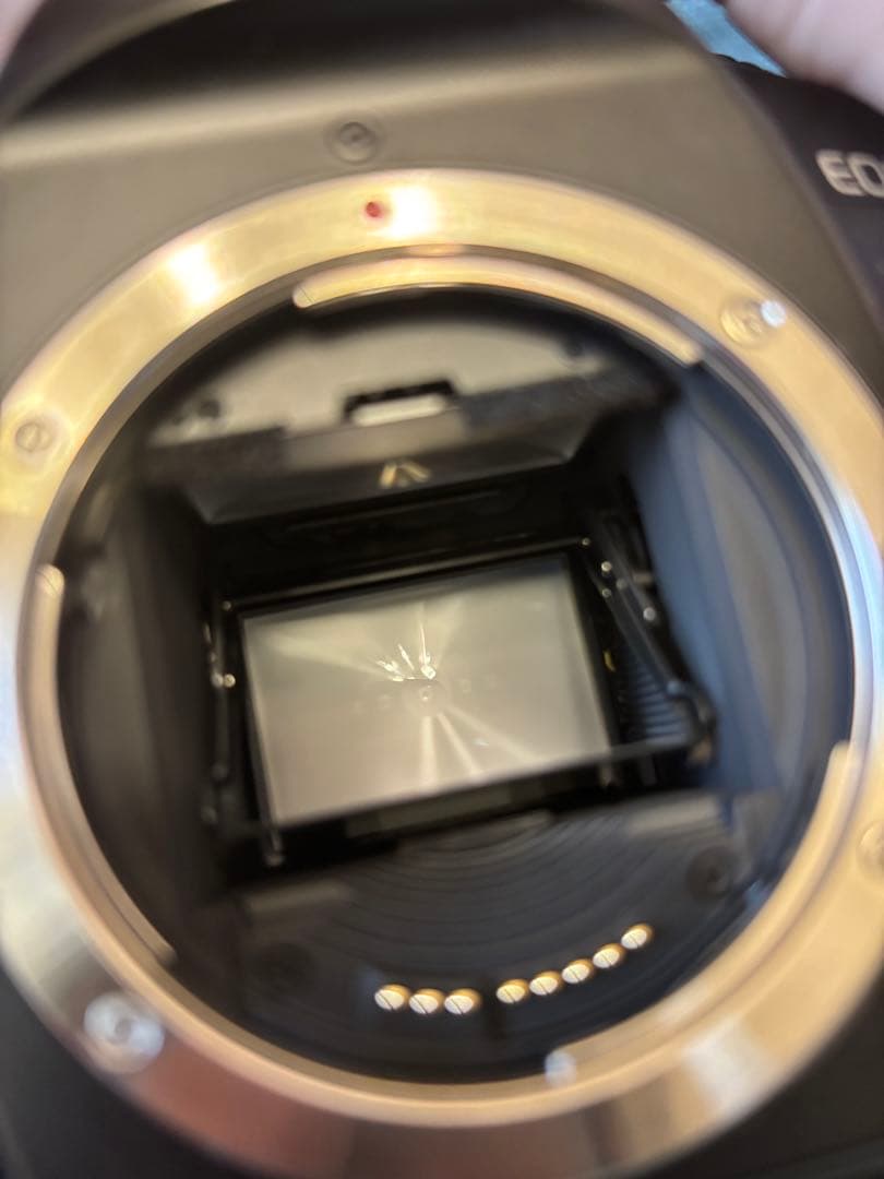 Canon EOS-1 一眼レフカメラ　本体のみ