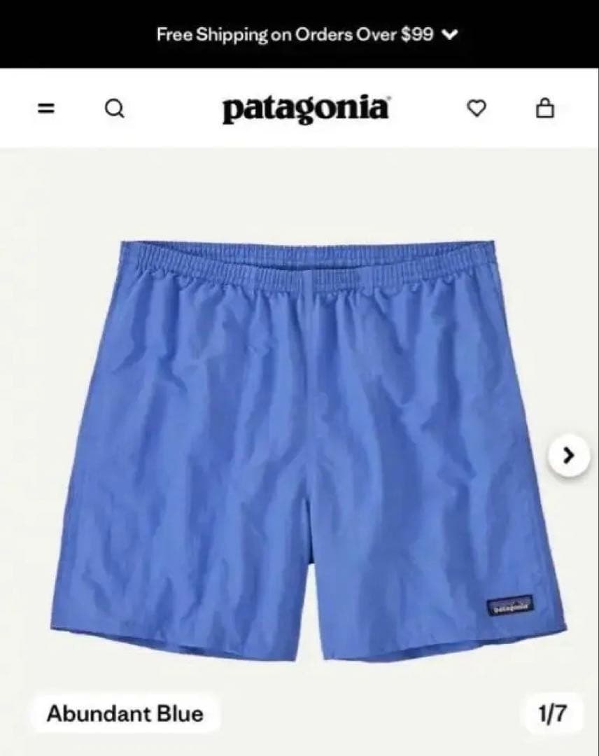 海外限定 パタゴニア バギーズ 5インチ SP25 ABNB Sサイズ 新品