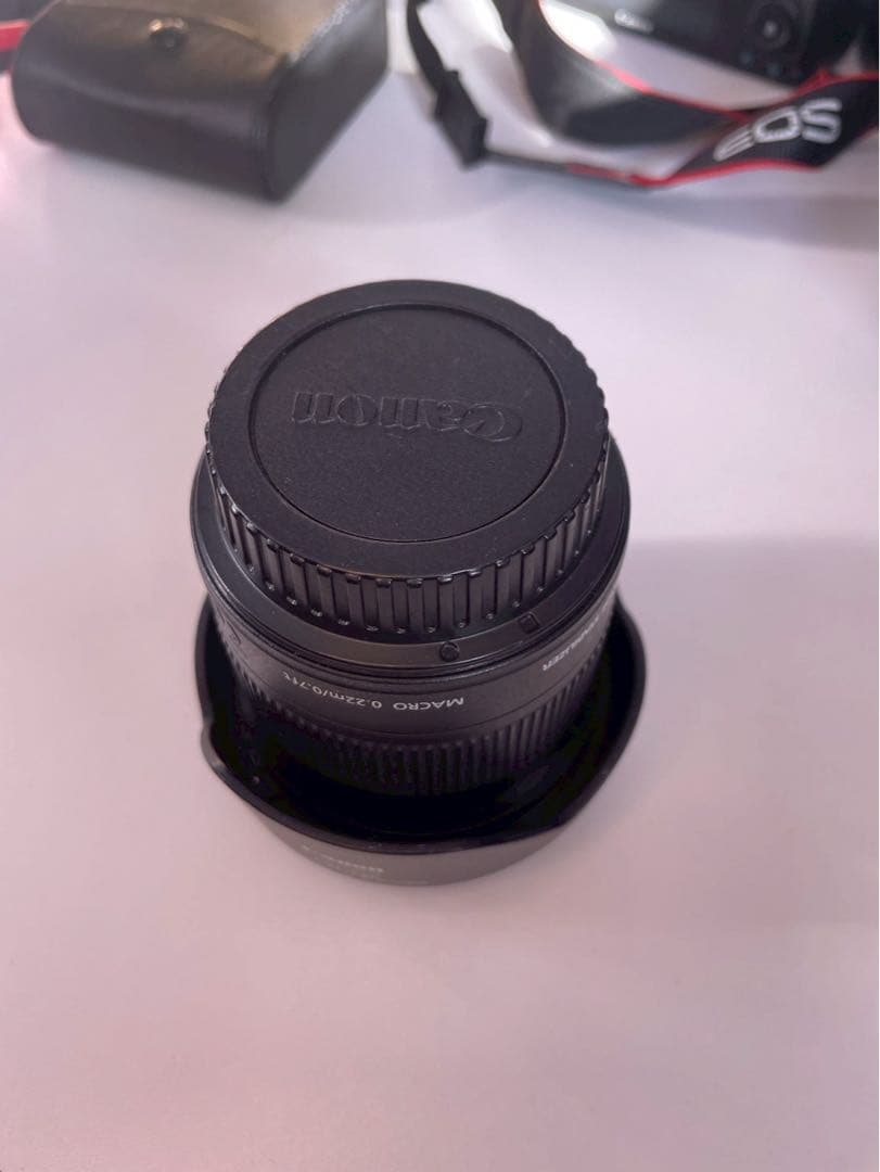 Canon 超広角ズームレンズ EF-S10-18mm、レンズカバー3種付き