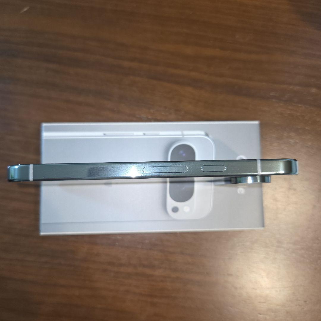 Google Pixel 9 Pro 本体 256G Hazel