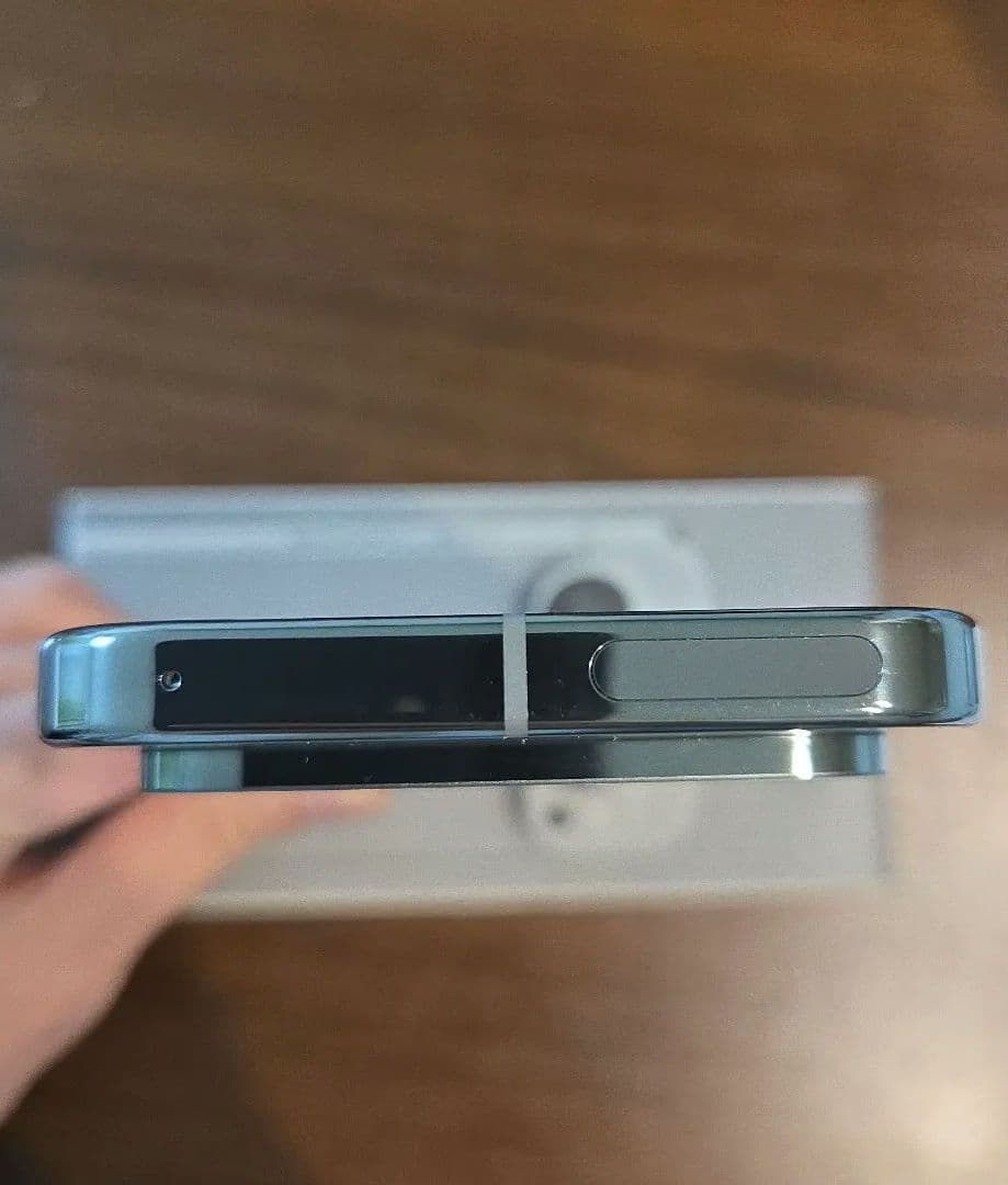 Google Pixel 9 Pro 本体 256G Hazel