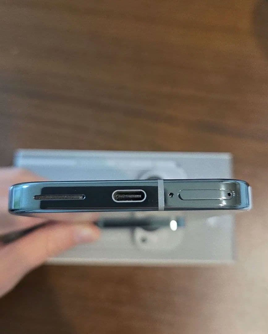 Google Pixel 9 Pro 本体 256G Hazel