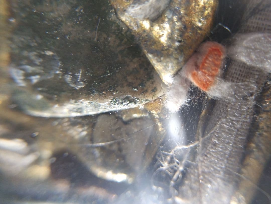 Mae She Shuan　精霊信仰　霊能力者の女性精霊　人縁　恋愛　金運の為