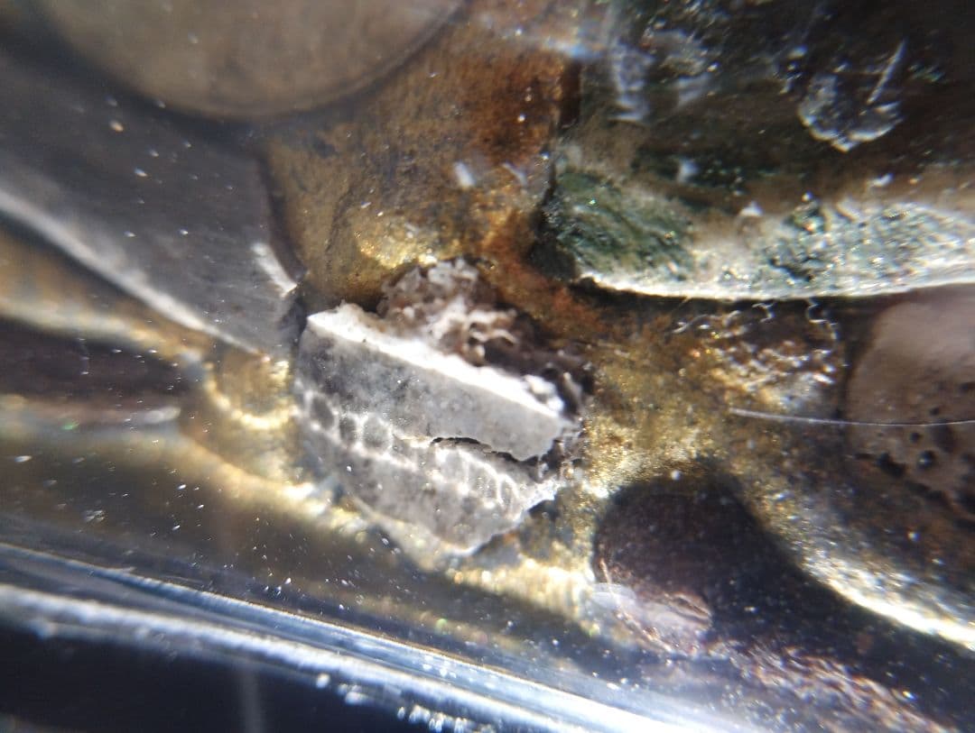 Mae She Shuan　精霊信仰　霊能力者の女性精霊　人縁　恋愛　金運の為