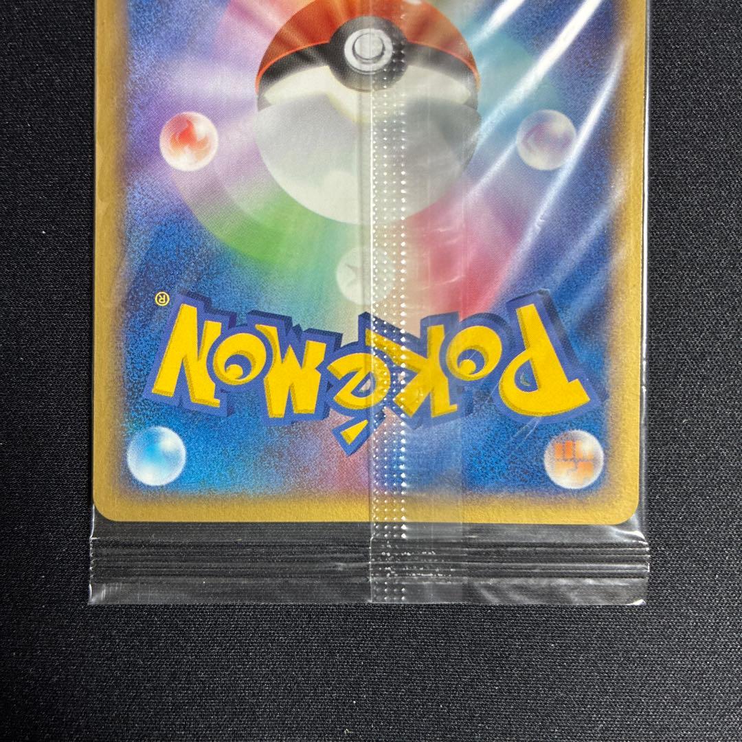 未開封　ポケパークのゴンベ　ポケパーク　プロモ　ポケモンカード　ポケカ