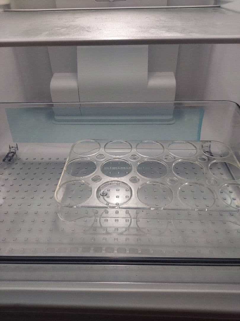 【極美品】2024年製 SHARP 冷蔵庫 SJ-D15K-H 152L