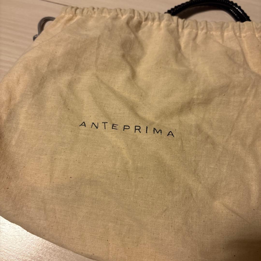 フレグラ様　アンテプリマ　黒の花飾り付きパーティーバッグ