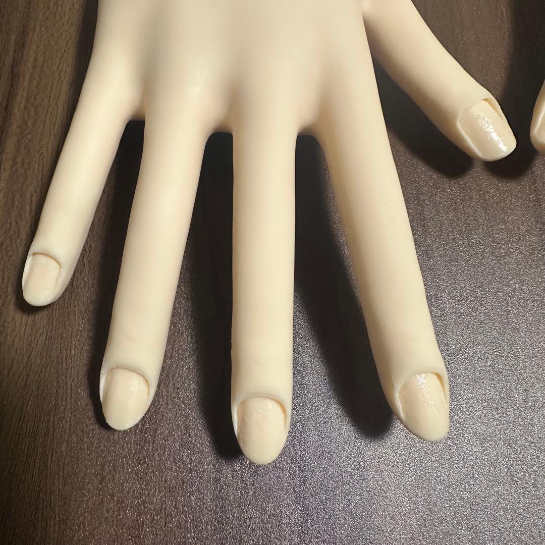 JNEC認定モデルハンド（骨折なし）