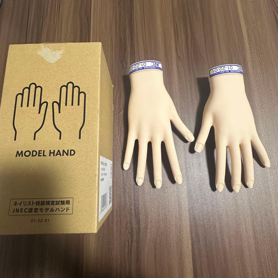 JNEC認定モデルハンド（骨折なし）