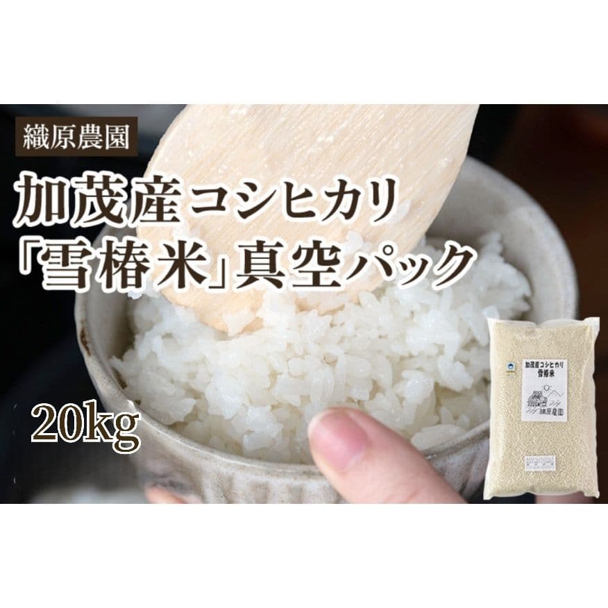 特別栽培米新潟県産コシヒカリ20k