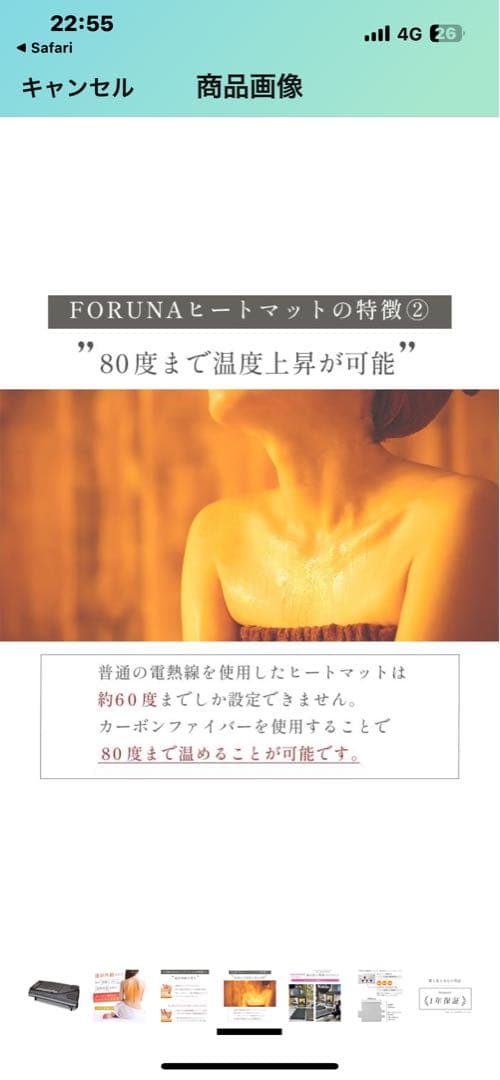 FORTUNA ヒートマット