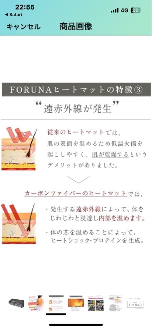 FORTUNA ヒートマット