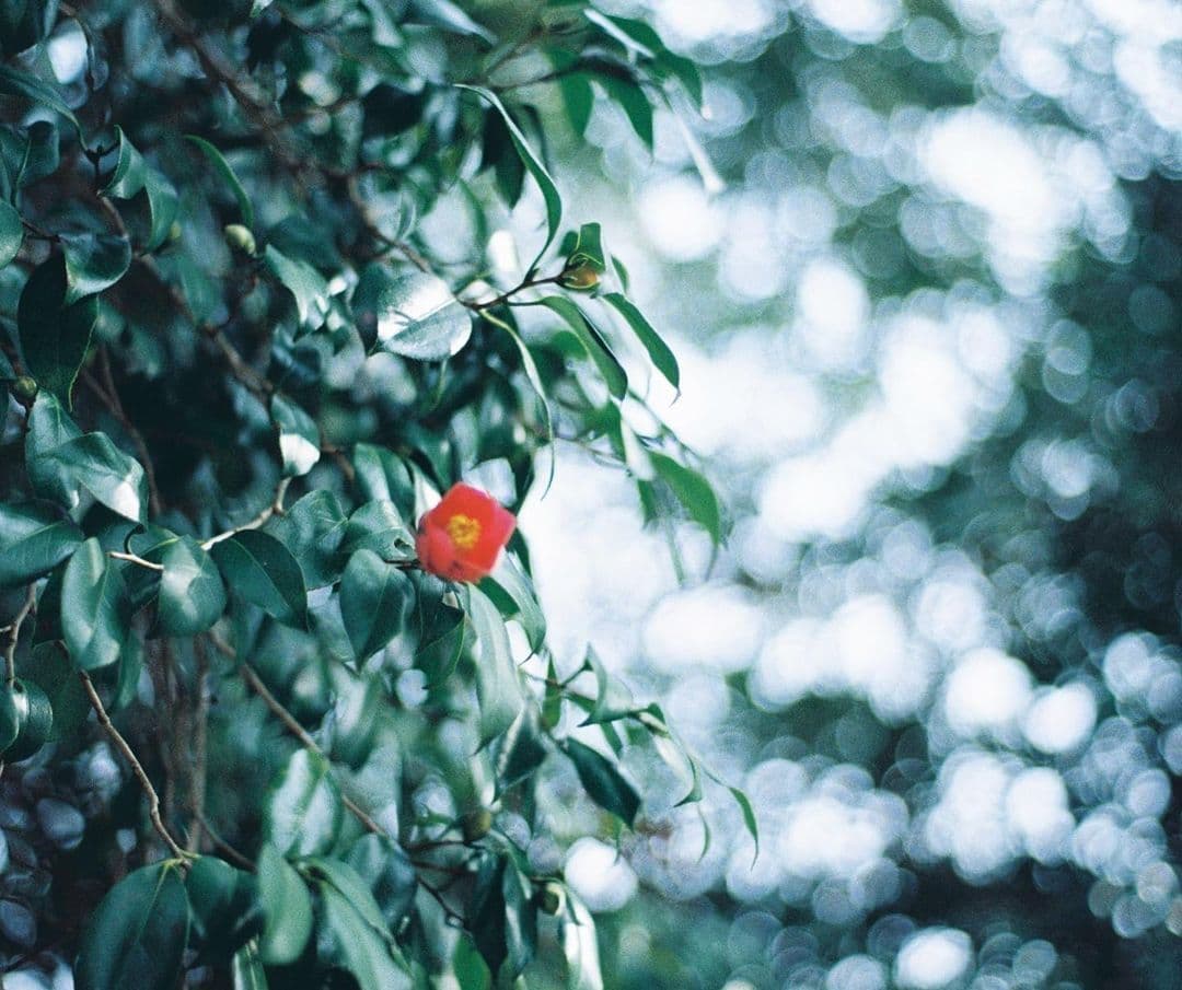 最終価格　PENTAX 一眼レフカメラ