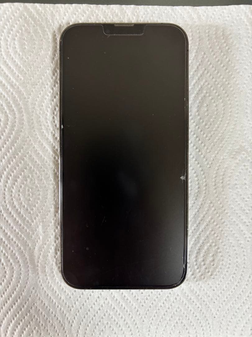 Apple iPhone 13 Pro Max本体