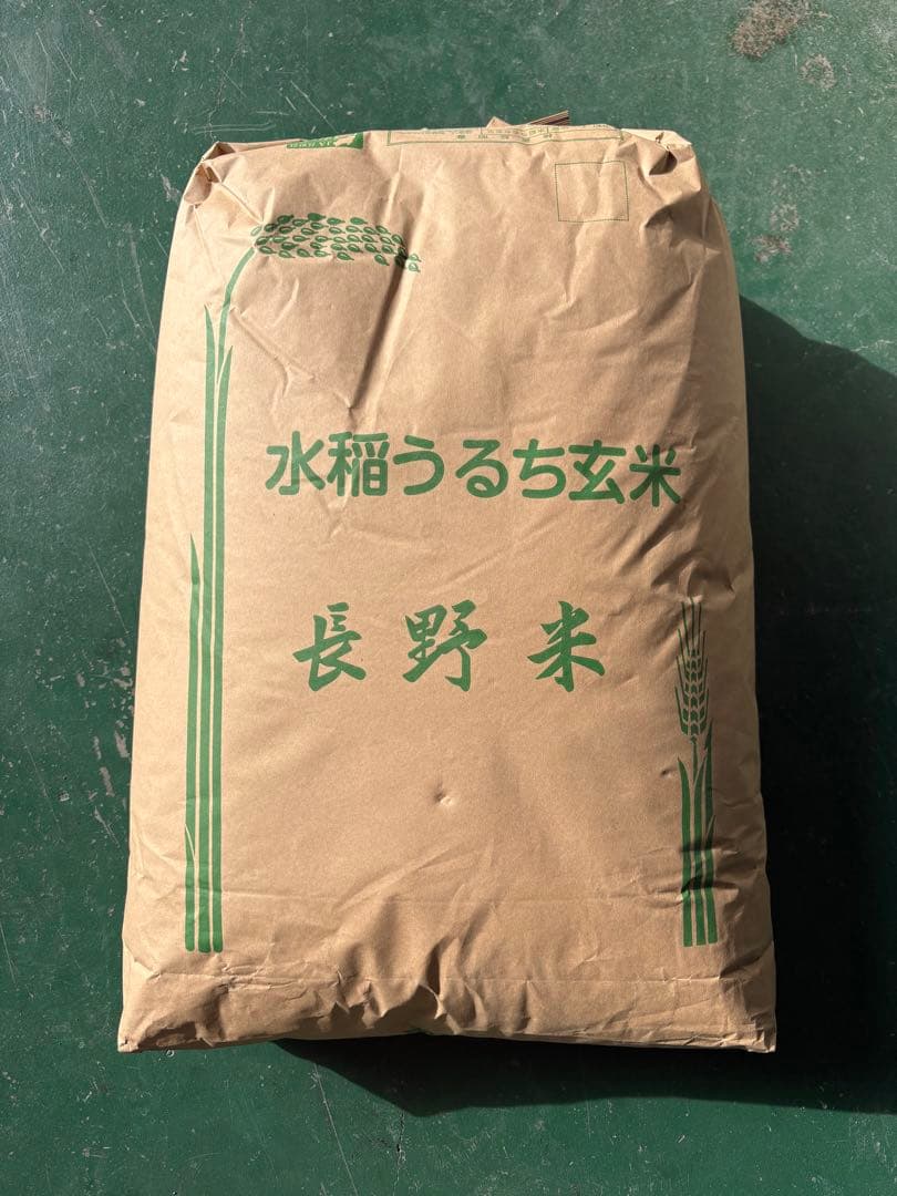 令和7年産　長野県松本市産プリンセスサリー　白米24kg
