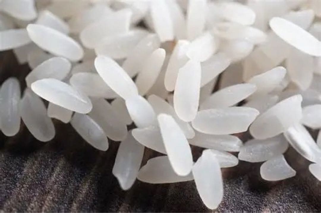 令和7年産　長野県松本市産プリンセスサリー　白米24kg