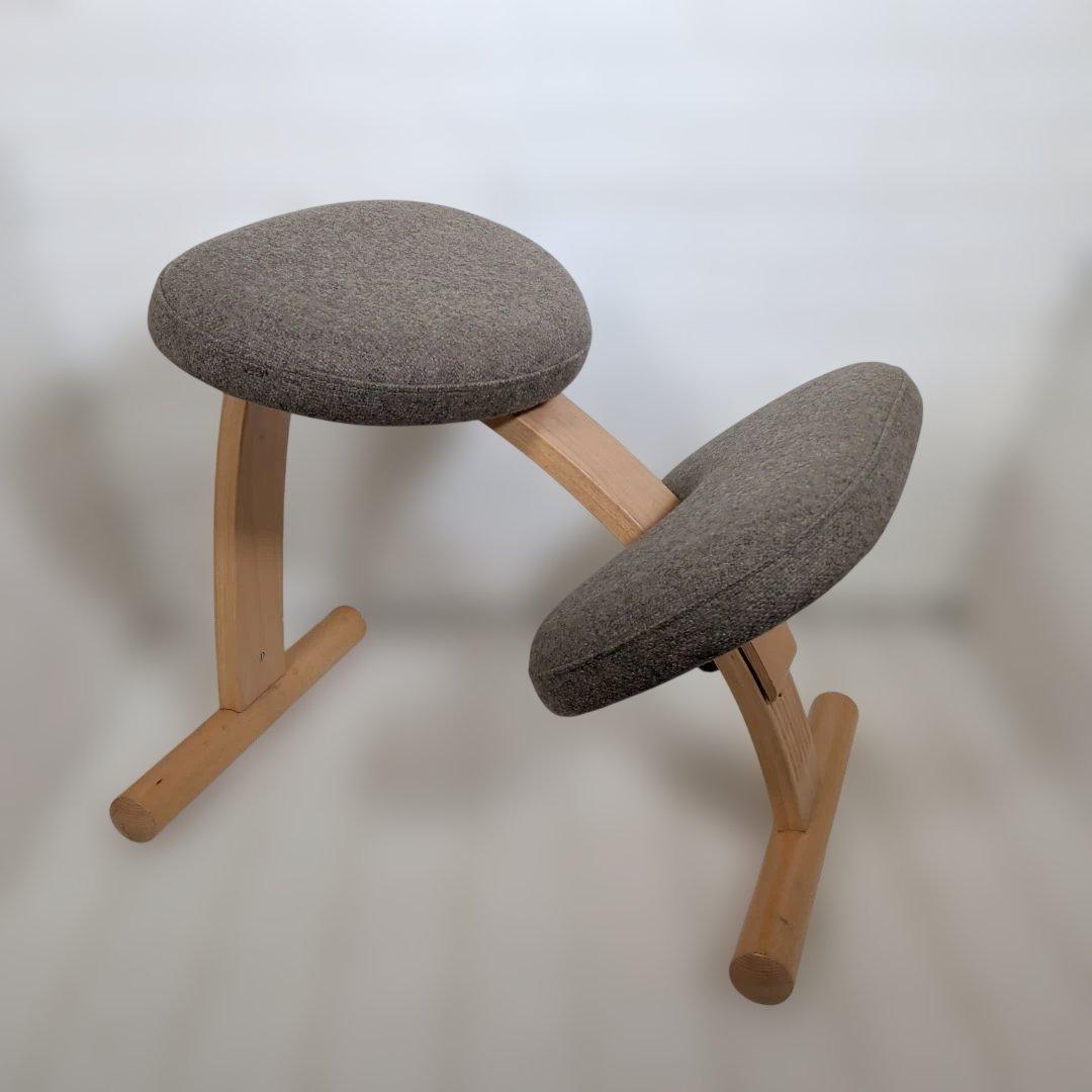 ①Rybo社製 Balans®EASY バランスイージーチェア