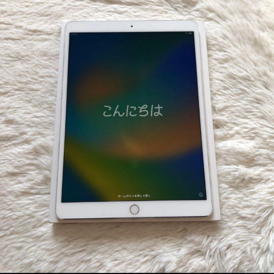 【完動品】iPad Pro 10.5 256GB SIMフリー【付属品】
