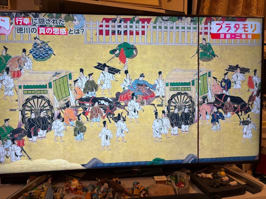 ピスタチオ　SONY BRAVIA 4K 55型　TV