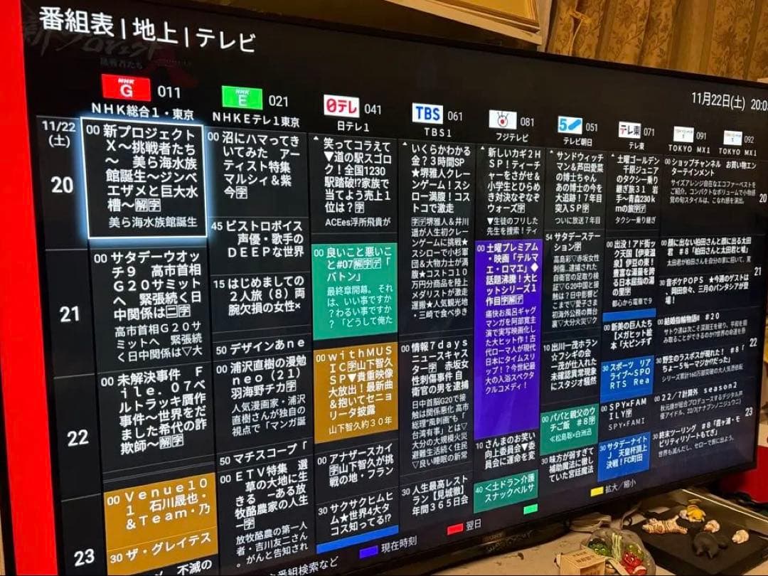 ピスタチオ　SONY BRAVIA 4K 55型　TV