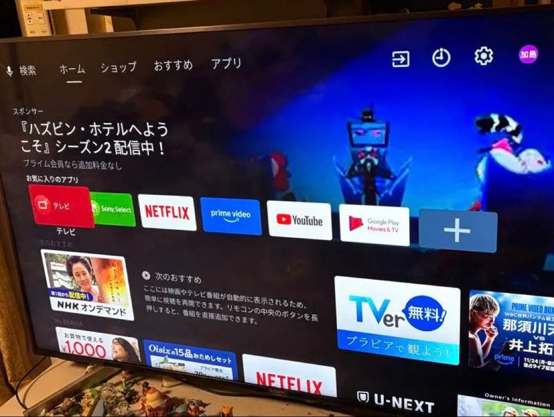 ピスタチオ　SONY BRAVIA 4K 55型　TV