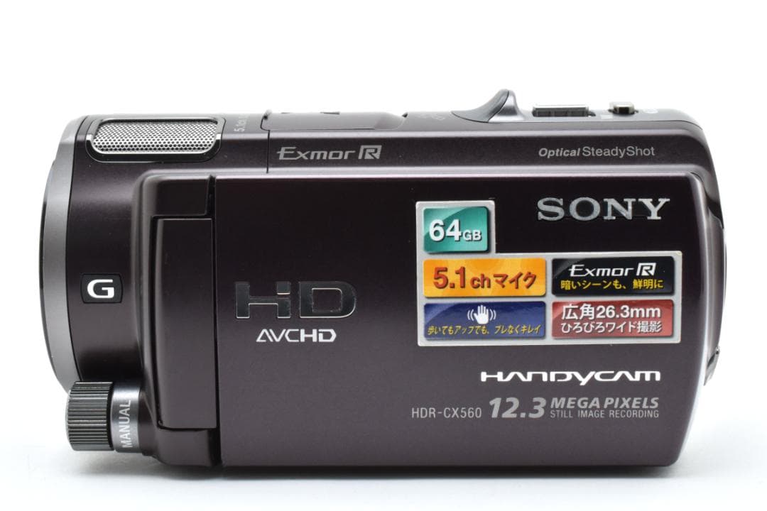 【美品】SONY Handycam HDR-CX560V ボルドーブラウン